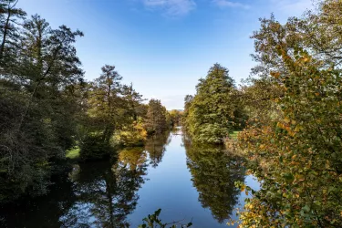 Bienwald - gespiegelte Bäume im Wasser