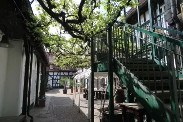 Kandeler Gaesschen (© Foto: P. Steinmetz, Südpfalz Tourismus Kandel e.V)