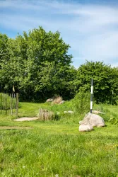 Eine grüne Wiese mit Bäumen und einem Wegweiser. Im Hintergrund sind große Steine und dichter Bewuchs zu sehen.