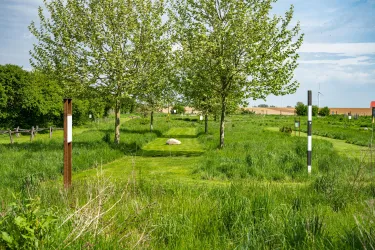Ein grüner Weg umgeben von Bäumen und hohem Gras. Der Himmel ist blau mit einigen Wolken.