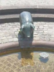 Eine bronzeartige Statue eines Schweins steht am Rand eines Brunnens. Der Brunnen hat klares Wasser und eine strukturierte Bodenoberfläche.