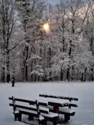 Eine verschneite Landschaft mit schneebedeckten Bäumen. Eine Holzbank steht im Vordergrund und die Sonne scheint durch die Bäume.