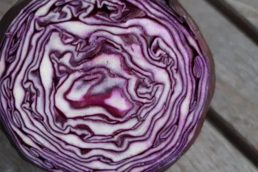 Ein aufgeschnittener roter Kohl mit gut sichtbaren, geschichteten Blättern. Die Farben variieren von tiefviolett bis weißlich.
