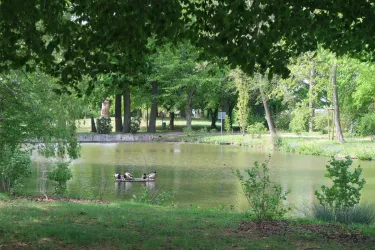 Schwanenweiher Kandel, Idylle