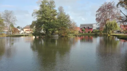 Schwanenweiher Kandel