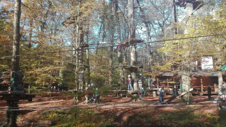 Klettern im AbenteuerPark Kandel