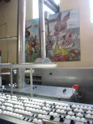 Eine Produktionslinie mit vielen Eiern und einer bunten Wandmalerei von Hasen. Die Hasen malen Eier in einem fröhlichen, festlichen Umfeld.