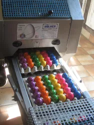 Eine Maschine zur Färbung von Eiern mit bunten, leuchtenden Farben. Auf einem Förderband liegen gefärbte Eier in Kartons.