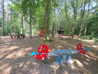 Ein schöner Spielplatz im Wald mit Spielgeräten und einer Rutschbahn. Im Hintergrund sind Sitzgelegenheiten und viel Grün zu sehen.