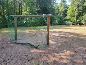 Ein Fußballtor in einem ruhigen Waldgebiet. Der Boden ist trocken und von Kiefernnadeln bedeckt.