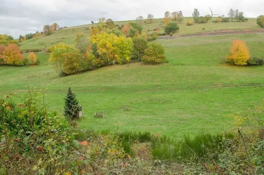 Urlaubsdomizil Uhrig - Umgebung von Queidersbach