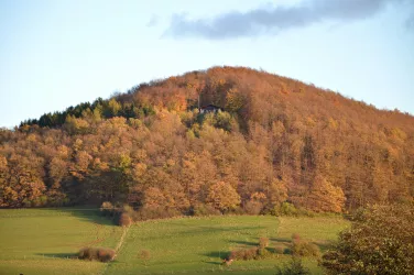 Hohlsteinhütte, fast versteckt (© PWV Münchweiler/Alsenz)