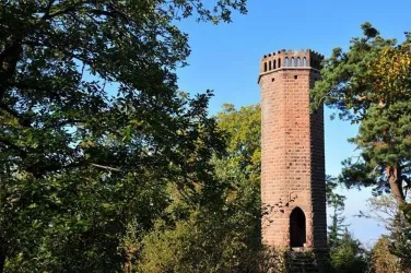 Rehbergturm (© Verein SÜW Annweiler e.V.)