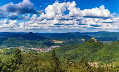 Blick vom Rehbergturm (© Wohlrabe Quadronet, Verein SÜW Annweiler e.V.)