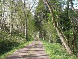 Die Natur erwacht