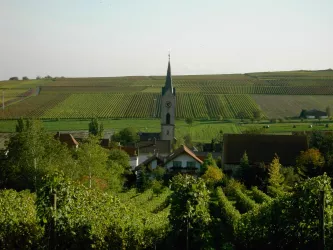 Weingut Jens Christmann Bild 5