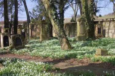 Alter Friedhof Kindenheim