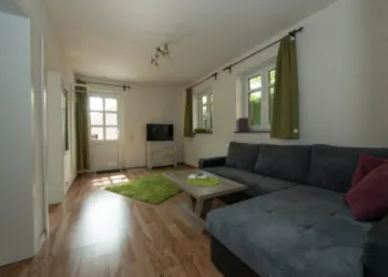 Ein helles Wohnzimmer mit einem grauen Sofa und einem grünen Teppich. Große Fenster sorgen für viel Tageslicht.
