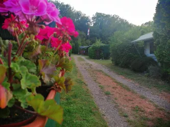 Blumen am Campingplatz am Donnersberg (© Campingplatz am Donnersberg)