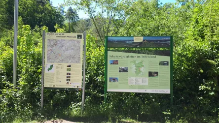 Wandertafel (© Verein SÜW Annweiler e.V.)