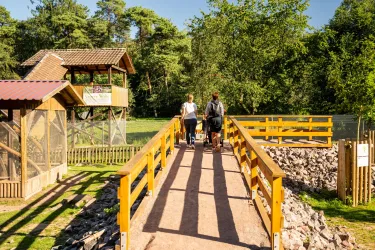Asphaltierter barrierefreier Zugang über eine Rampe zum Wolfsgehege. Zwei Frauen gehen mit einem Kinderwagen über die Rampe, flankiert von Holzgeländer. Im Hintergrund sieht man das Wolfsgehege und Bäume