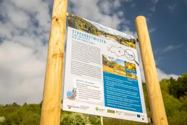 Ein Informationsschild über Streuobstwiesen in einer grünen Landschaft. Es enthält Text und Grafiken zur Artenvielfalt und zur Bedeutung dieser Flächen.