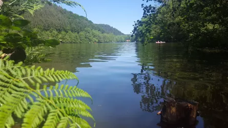 20190602_133938