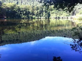 Silzer See