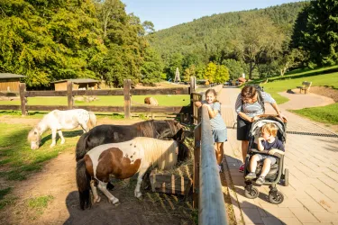 Eine Familie besucht einen Pferdehof mit Ponys. Kinder stehen am Zaun und schauen den Tieren zu.
