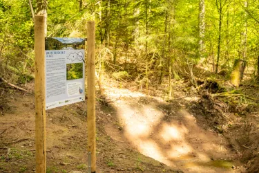 Eine Informationstafel im Wald steht auf einem schmalen, erdigen Weg. Im Hintergrund sind grüne Bäume und sonnige Lichtstrahlen zu sehen.