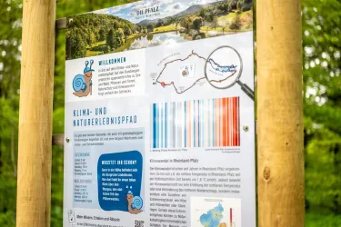 Ein Informationsschild über den Klima- und Naturerlebnispfad in der Pfalz. Es zeigt eine Karte, Grafiken und Informationen über die Umgebung.