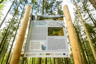 Ein Informationstafel im Wald, die über Maßnahmen gegen den Klimawandel informiert. Der Hintergrund zeigt hohe Bäume und grünes Laub.