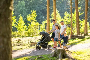Eine Familie spaziert im Wald. Zwei Kinder gehen neben einem Kinderwagen, während die Eltern sie begleiten.