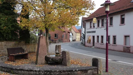 Ortsansicht (© Verein SÜW Annweiler e.V)