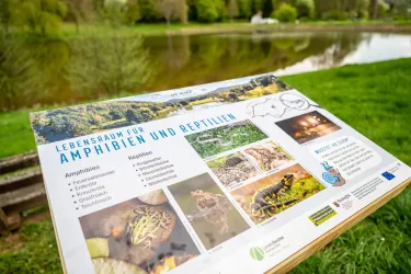 Ein Informationsschild über Lebensräume für Amphibien und Reptilien steht an einem Gewässer. Im Hintergrund sind Bäume und eine grüne Wiese zu sehen.