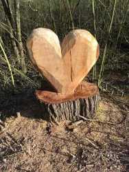 Ein herzförmiger Holzschnitzerei steht auf einem Baumstumpf im Wald. Die Skulptur hat eine natürliche Holzfarbe und zeigt Handwerkskunst.