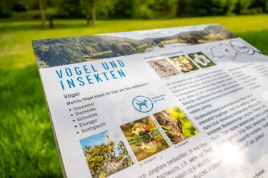 Ein Informationsschild über Vögel und Insekten in einer grünen Umgebung. Es zeigt Fotos und kurze Beschreibungen verschiedener Vogelarten.