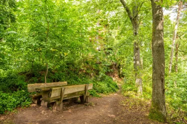 Eine gemütliche Holzbank steht im Grünen unter Bäumen. Der Weg ist von dichtem Laub und Pflanzen umgeben.