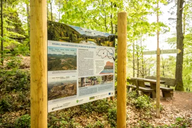 Ein Informationsschild in einem Wald mit verschiedenen Bildern und Texten über die Umgebung. Im Hintergrund sind Bäume und eine Bank zu sehen, die zum Verweilen einlädt.