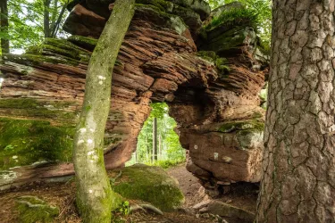Ein faszinierender Felsenbogen umgeben von Bäumen und grünem Moos. Die natürliche Schönheit des Waldes in freundlichem Licht ist deutlich zu sehen.