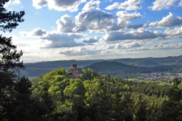 Waldsofa - Blick auf den Drachenfels (© Michael Kugler)