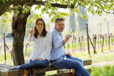 Ein Paar sitzt unter einem Baum und hebt Weingläser anstößig. Im Hintergrund sind Weinreben und eine grüne Landschaft zu sehen.