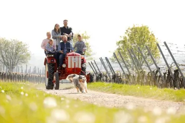 Eine Familie fährt mit einem Traktor durch ein Weinfeld. Ein Hund läuft fröhlich nebenher.