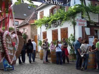 Eine Sektbar im Freien mit vielen Menschen, die sich unterhalten und Getränke genießen. Im Hintergrund sind eine charmante Fassade und Weinreben zu sehen.