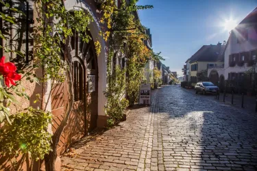 Eine malerische Gasse mit gepflastertem Boden und bunten Gebäuden. Pflanzen und Blumen schmücken die Umgebung, während die Sonne den Weg erhellt.