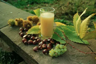 Ein Glas Fruchtsaft steht auf einem Stein, umgeben von Kastanien und Trauben. Im Hintergrund sind grüne Blätter zu sehen.