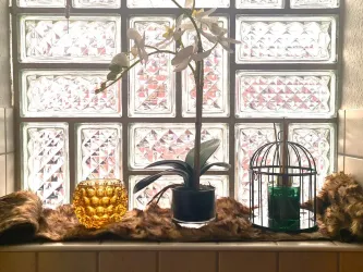 Ein helles Fenster mit Glasblockelementen, hinter dem eine Orchidee und ein goldenes Teelicht platziert sind. Neben ihnen steht eine dekorative Vogelkäfiglampe und eine hübsche Stoffunterlage.