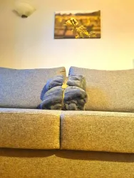 Ein gemütliches Sofa mit grauem Bezug und einem blauen Kissen in der Mitte. Im Hintergrund hängt ein Bild mit warmen Farbtönen.