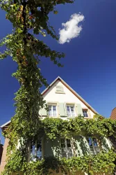 Ein charmantes Haus mit grünen Fensterläden, umgeben von üppigem Efeu. Der blaue Himmel mit wenigen Wolken verleiht der Szene eine angenehme Atmosphäre.