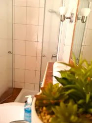 Ein modernes Badezimmer mit einer Dusche und einem Waschbecken. Im Vordergrund steht eine kleine Pflanze in einem Topf.